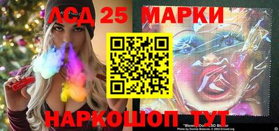 гашик Донской