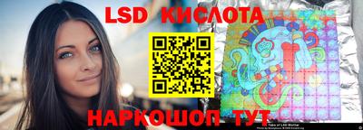 стаф Дубна