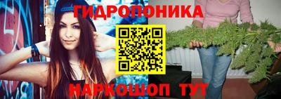 стаф Дубна