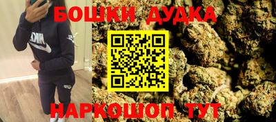 стаф Дубна