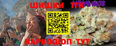 стаф Дубна
