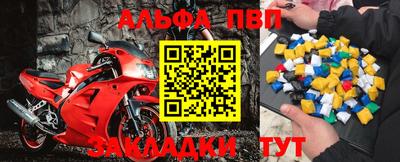 гашик Донской