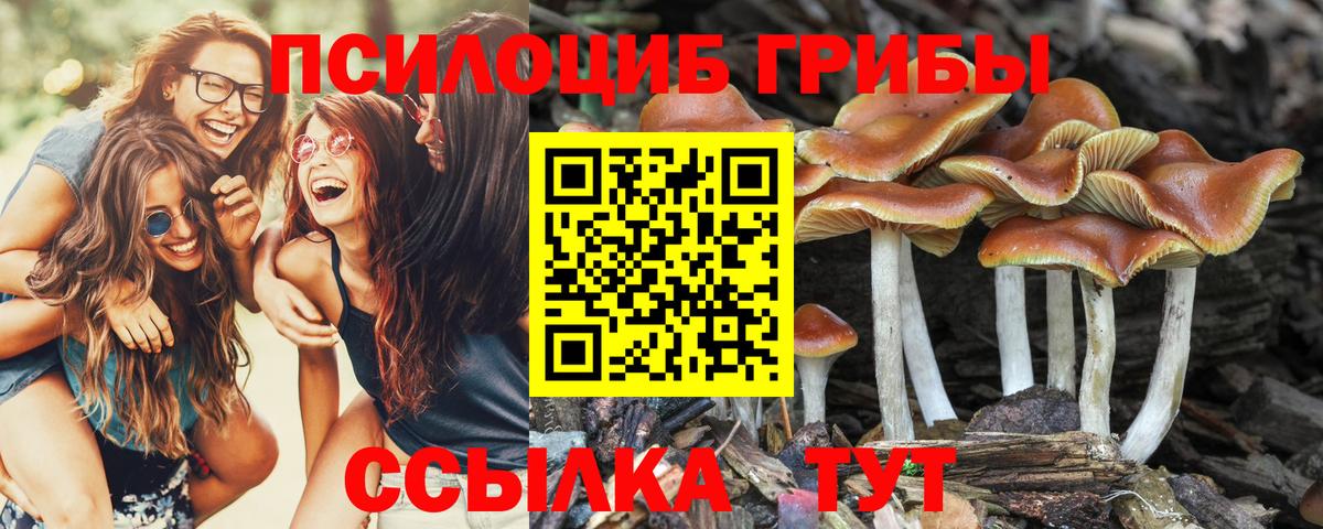 Галлюциногенные грибы ЛСД Луховицы