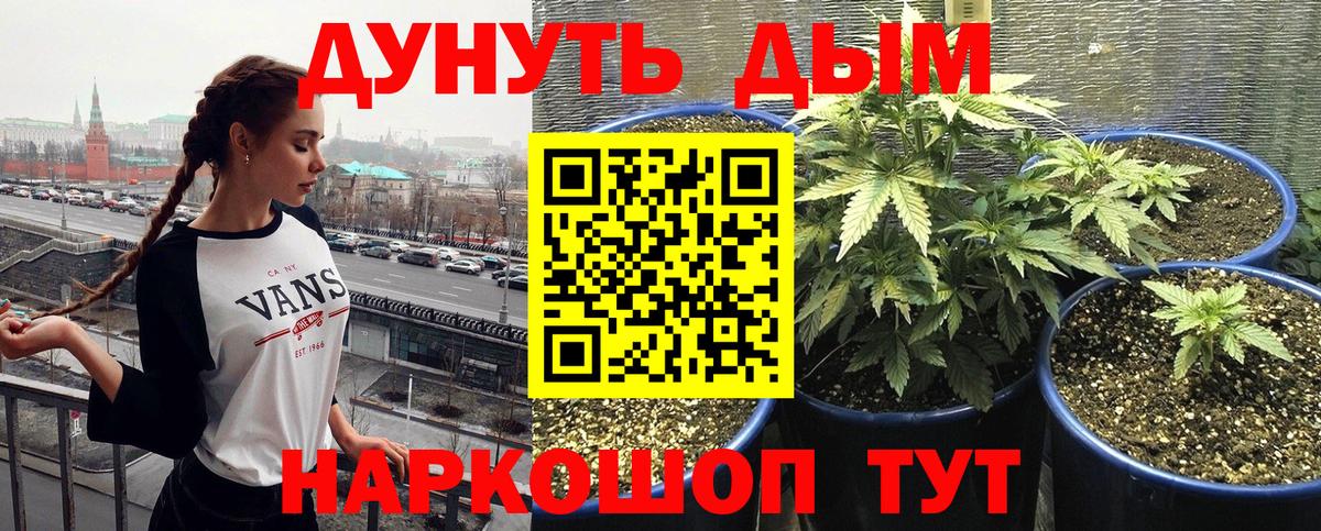 Марихуана сатива Луховицы